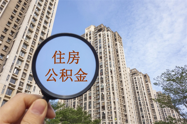 湛江不离职可以代提公积金么（不离职住房公积金个人怎么提取）